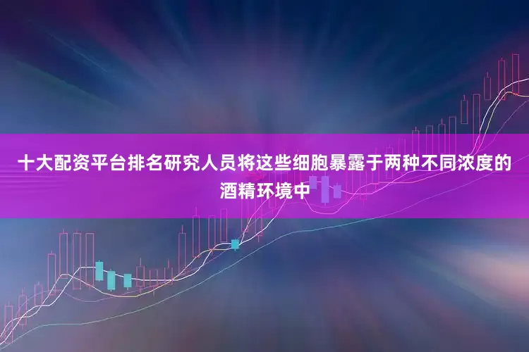十大配资平台排名研究人员将这些细胞暴露于两种不同浓度的酒精环境中