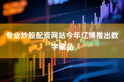 专业炒股配资网站今年辽博推出数字藏品