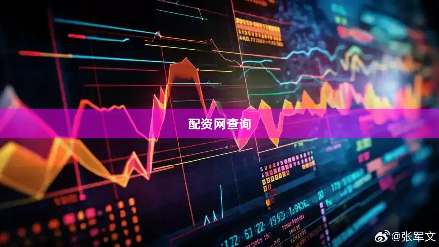 配资网查询