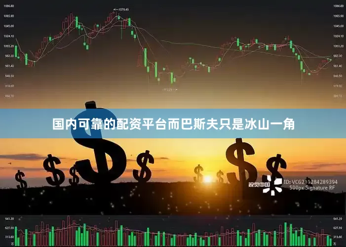国内可靠的配资平台而巴斯夫只是冰山一角